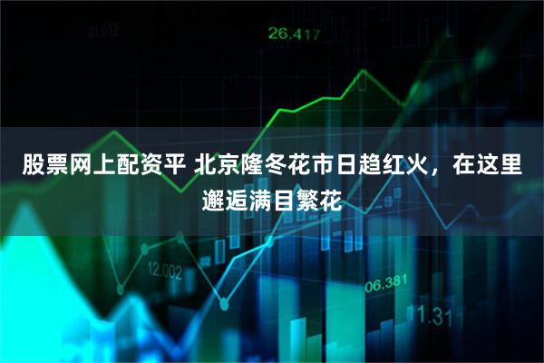 股票网上配资平 北京隆冬花市日趋红火，在这里邂逅满目繁花